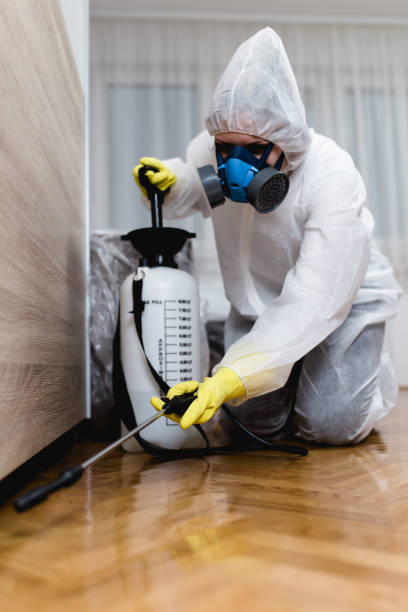 Best Residential Pest Control  in Elmont, NY